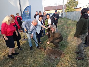 Kolejny sad tradycyjny w PKWŁ, Świetlica wiejska gm. Brzeziny 2.10.2021r. fot. KR.Sosnowska, 